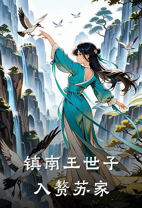 镇南王世子入赘苏家