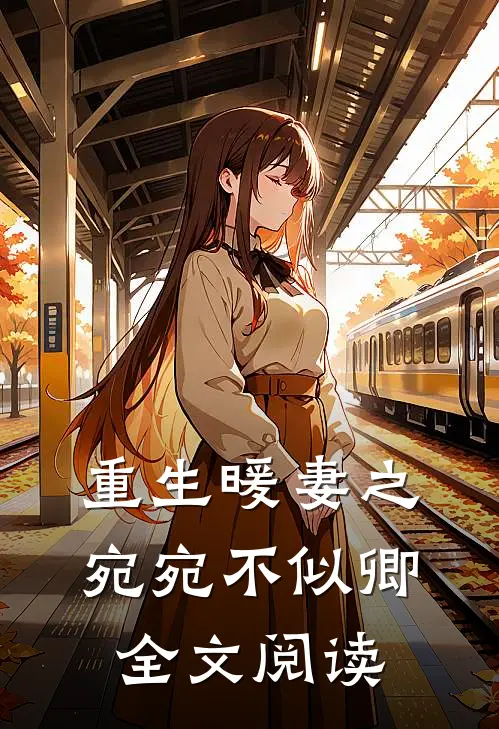 重生暖妻之宛宛不似卿全文阅读