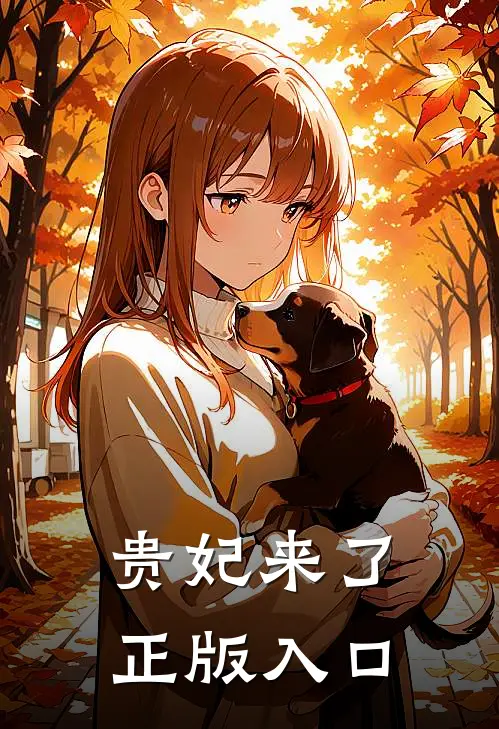 贵妃来了正版入口